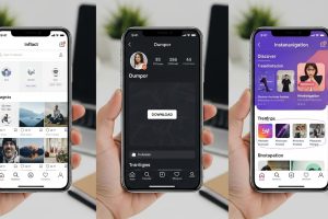 Top Picuki Alternatives in 2025: Best Instagram Viewers & Downloaders